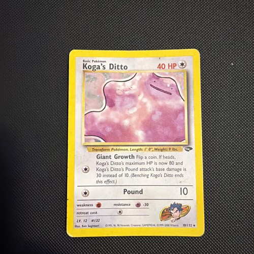 Koga ditto 132 - ditto, gym